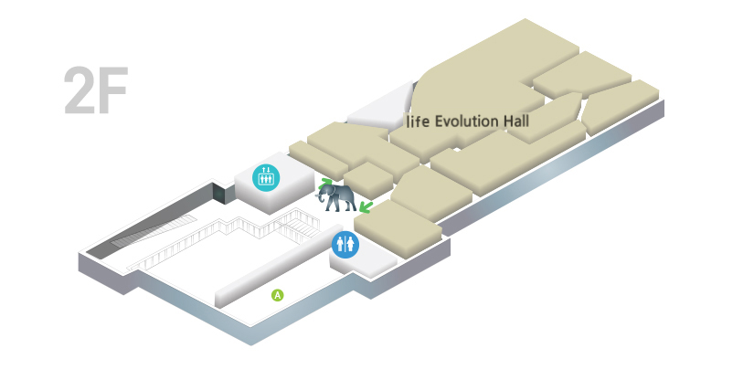 2F Life Evolution Hall